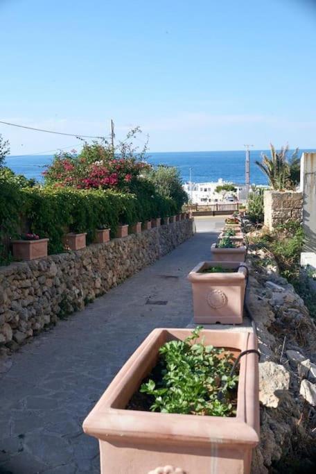 San Vito Apartament Polignano a Mare Exterior photo